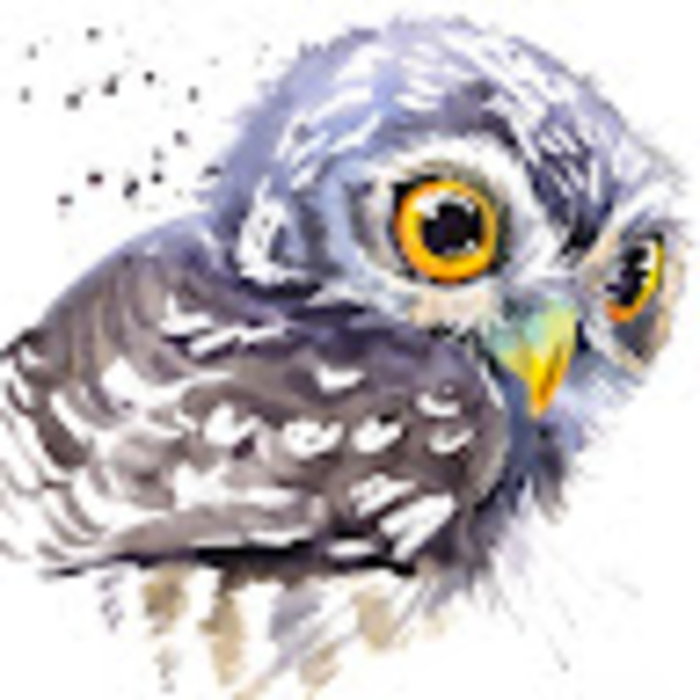 Meet your Posher, Serena